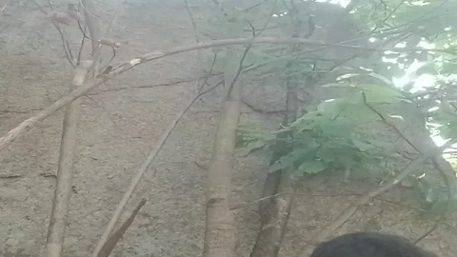 Watch Lucky Boy Fucking Cute Village Girl Hardcore - গ্রামের সুন্দরী মেয়ের সাথে লাকি বয়ের হার্ডকোর চুদাচুদি ভিডিও 🔥 full viral video leaked