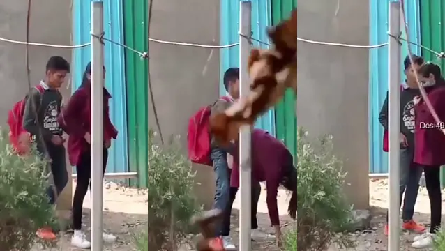 Watch College Girl Risky Outdoor Blowjob Doggy Quickie Caught - কলেজ গেটে পাবলিক চোদাচুদি করে কাম খেলো 🔥 full viral video leaked BD