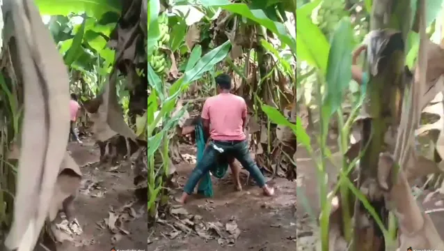 Watch Hot Desi Couple Hardcore Sex in Banana Jungle - কলার জঙ্গলে দেশি BF GF এর গরম চোদাচুদি ভিডিও দেখুন 🔥