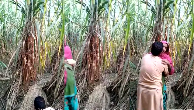 Watch Muslim Uncle Fucking Young Desi Girl in Jungle XXX - জঙ্গলে মুসলিম আংকেল ইয়ং দেশি মেয়েকে চুদলো হার্ডকোর 🔥 full viral video leaked