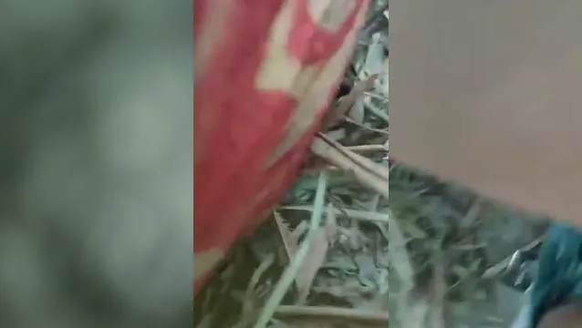 Watch Pakistani Jungle Tight Pussy Sex with Desi BF Hardcore - জঙ্গলে পাকিস্তানি টাইট পুদি চোদাচুদি হার্ডকোর 🔥💦 full viral video leaked